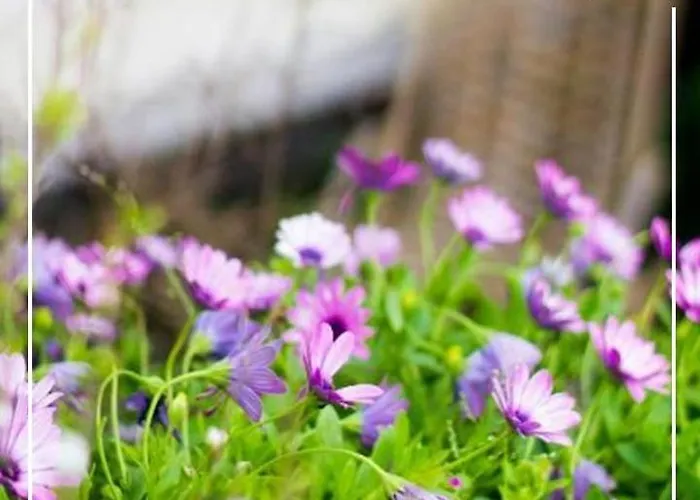 Boutique Quinta Physalis Rum i privatbostad *