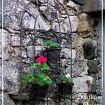 Boutique Quinta Physalis בית אירוח