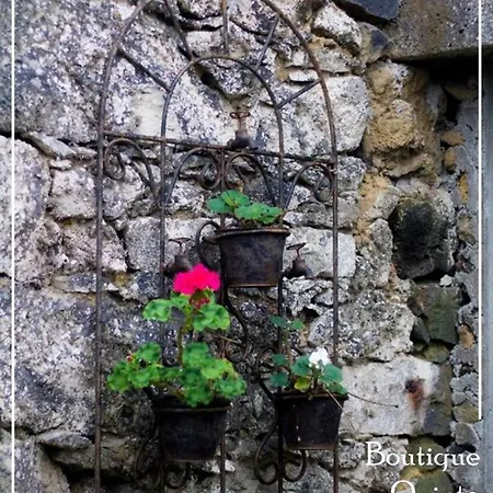 Boutique Quinta Physalis Homestay
