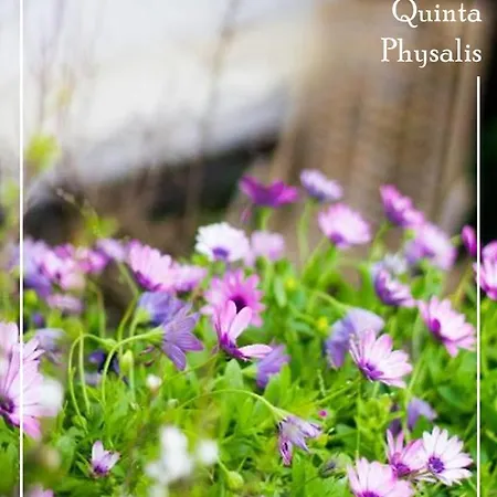 Boutique Quinta Physalis Homestay *