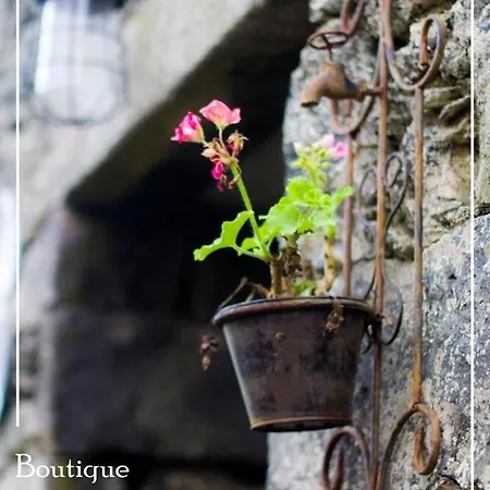 Boutique Quinta Physalis *