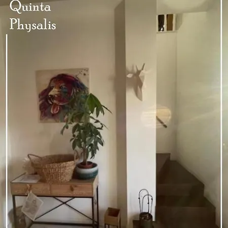 Quarto em Acomodações Particulares Boutique Quinta Physalis
