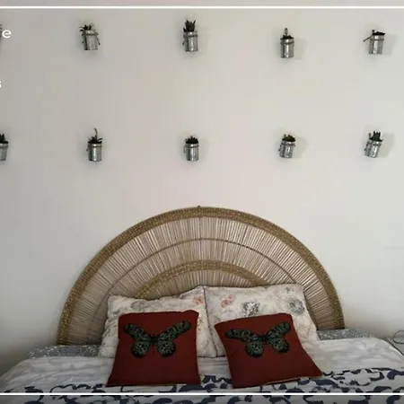 Boutique Quinta Physalis