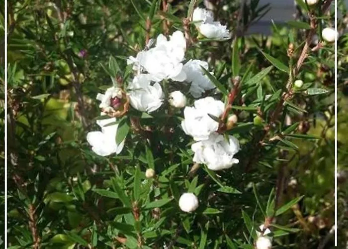 Privatunterkunft Boutique Quinta Physalis