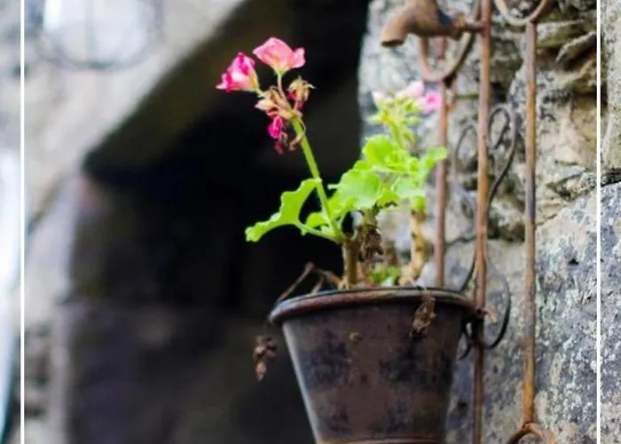 Boutique Quinta Physalis *