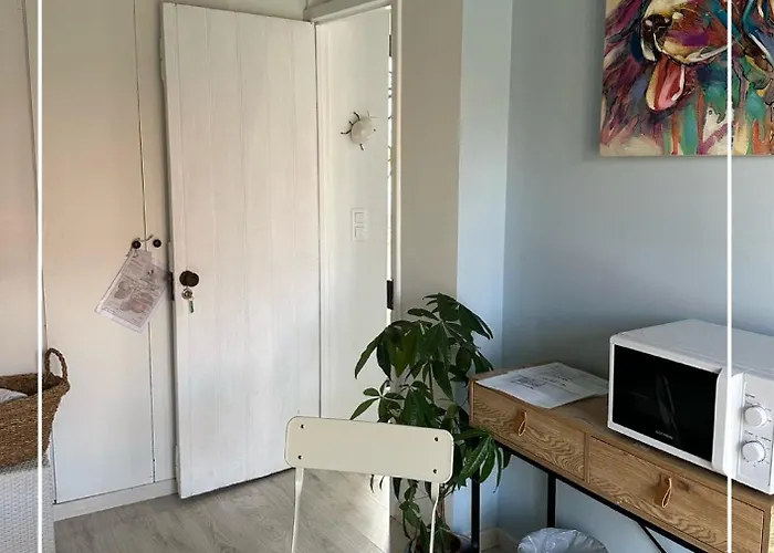 Boutique Quinta Physalis